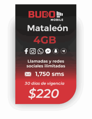 Plan Mataleón