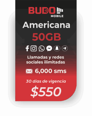 Plan Americana
